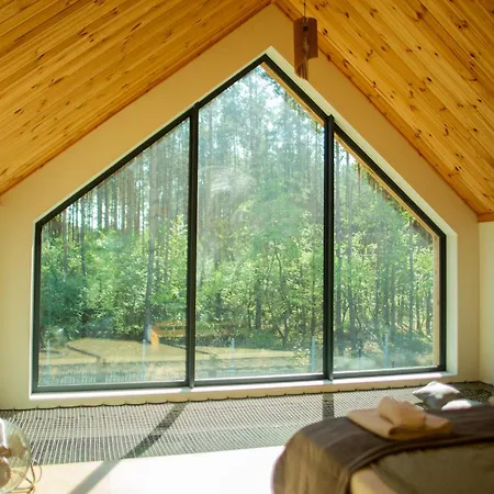 Lasownia Dom Dzieciol * Wielecin