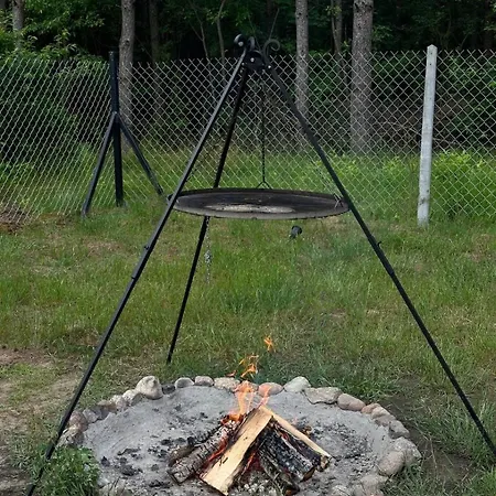 Lasownia Dom Dzieciol 別荘 Wielecin