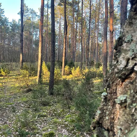 Lasownia Dom Dzieciol Будинок відпочинку Wielecin