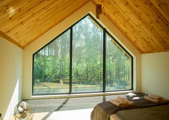 Lasownia Dom Dzieciol * Wielecin